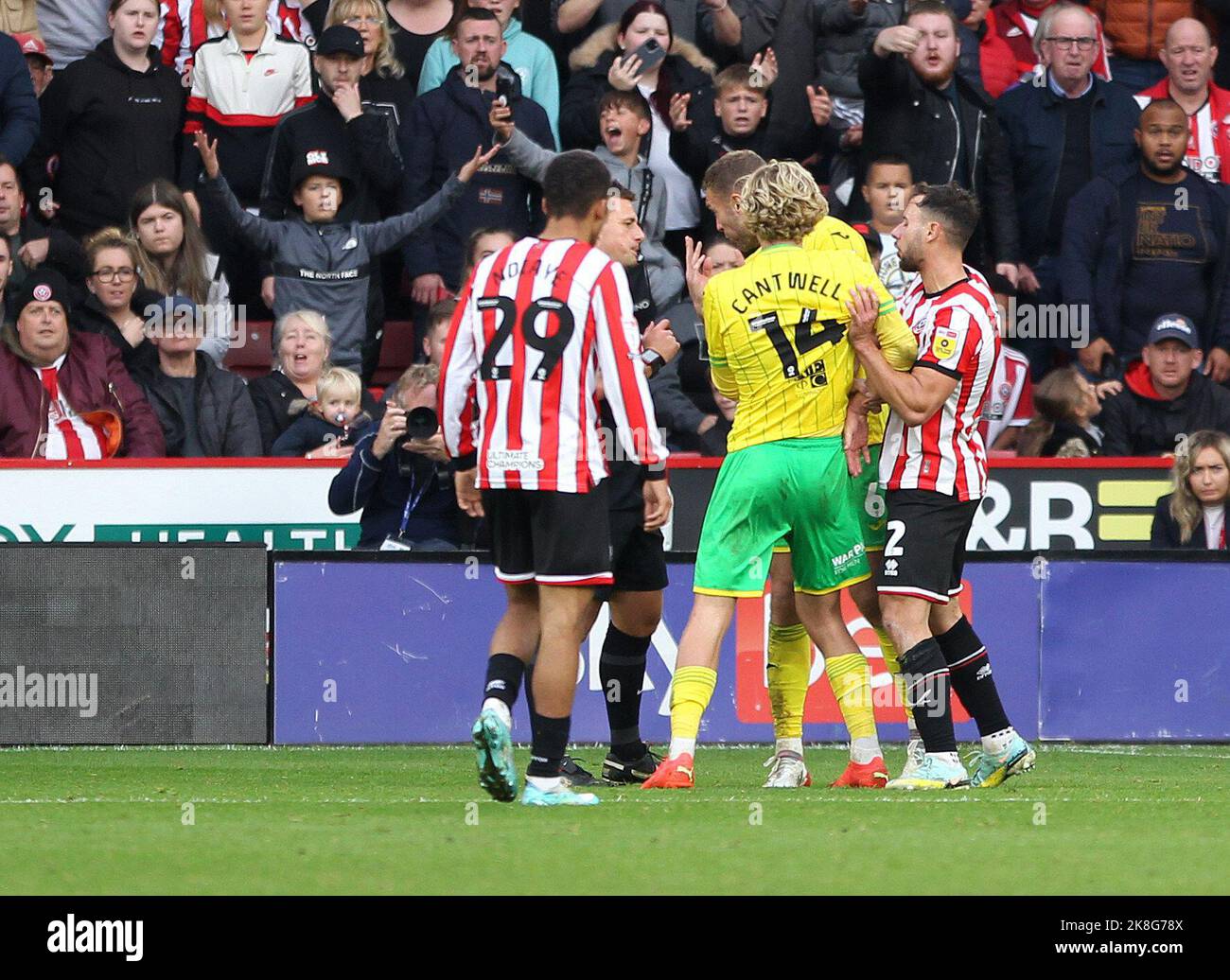 Sheffield, UK. 22nd Oct, 2022. Tempers flare during the Sky Bet Championship match between Sheffield United and Norwich City at Bramall Lane on October 22nd 2022 in Sheffield, England. (Photo by Mick Kearns/phcimages.com) Credit: PHC Images/Alamy Live News Stock Photo
