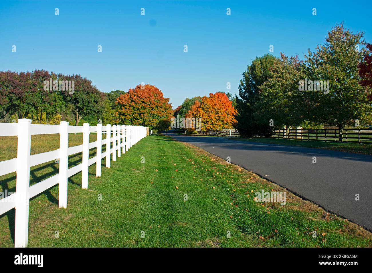 Empty road in Colts Neck, New Jersey, USA, with colorful autumn foliage still on the trees -01 Stock Photo