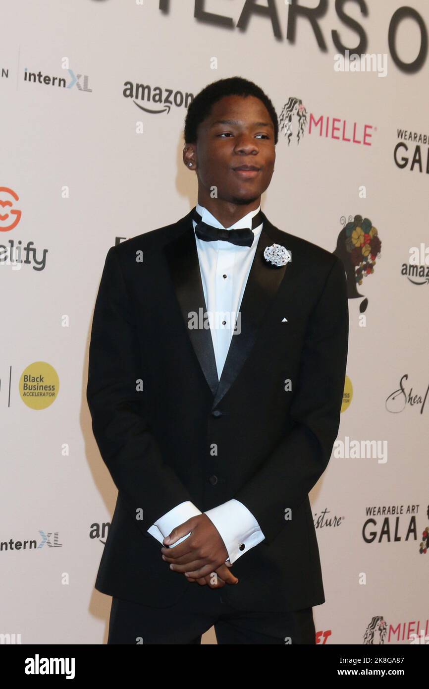 Los Angeles, USA. 22nd Oct, 2022. Branson Bailey attends the 5th Annual