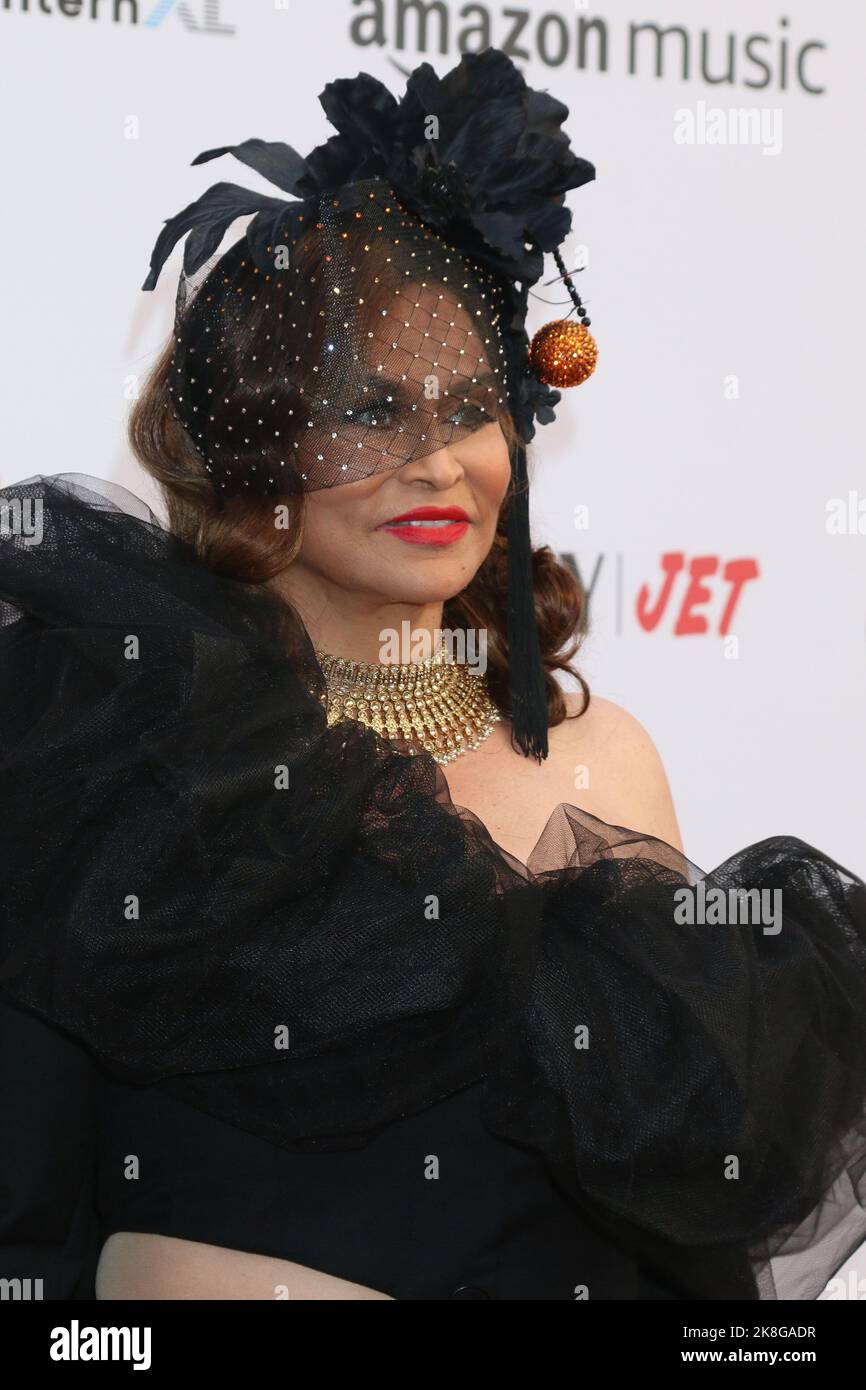 Los Angeles, USA. 22nd Oct, 2022. Tina Knowles Lawson attends the 5th Annual Wearable Art Gala