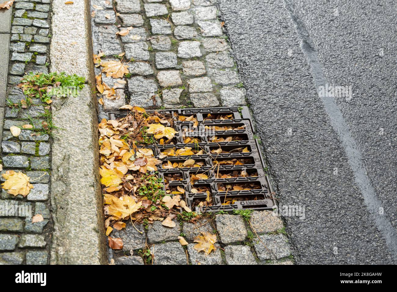 A manhole is completely clogged with leaves Stock Photo
