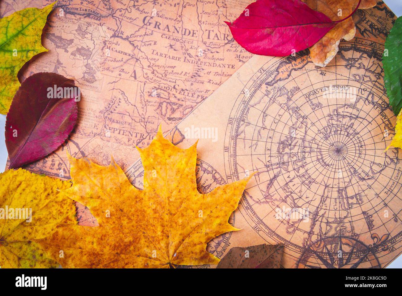 Traveler's map in autumn leaves. Travel in autumn. Vintage map and ...