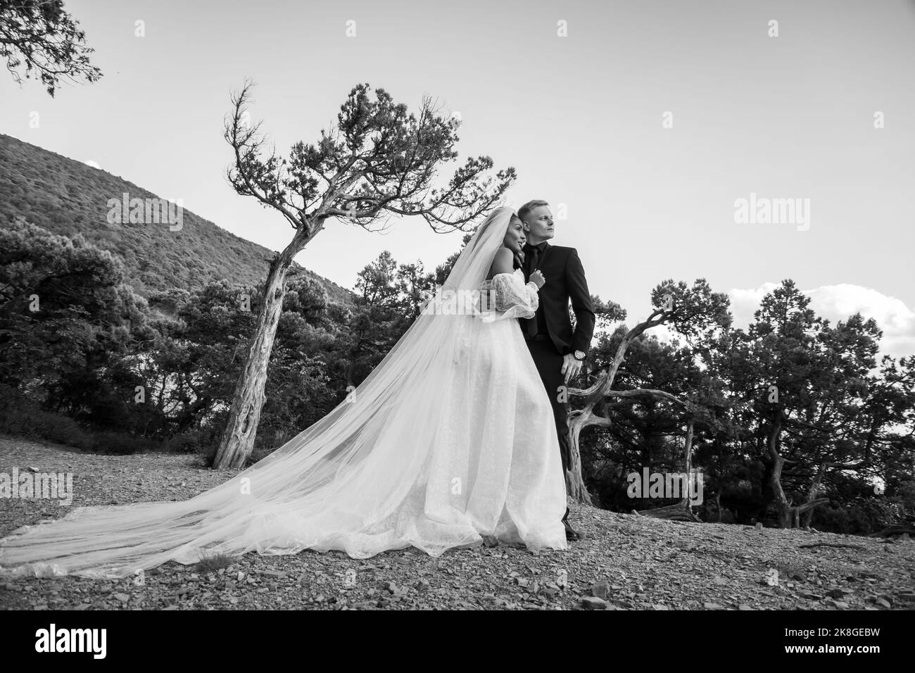 The bride in a long white dress and the groom in a suit are standing against the backdrop of an old forest and mountains, black and white version Stock Photo