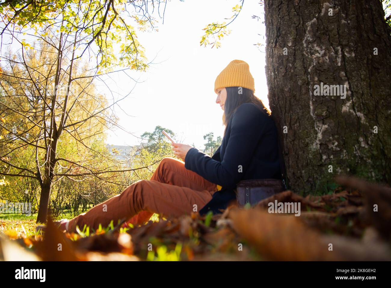 Beautiful caucasian woman sitting in autumn park near tree and read phone Stock Photo