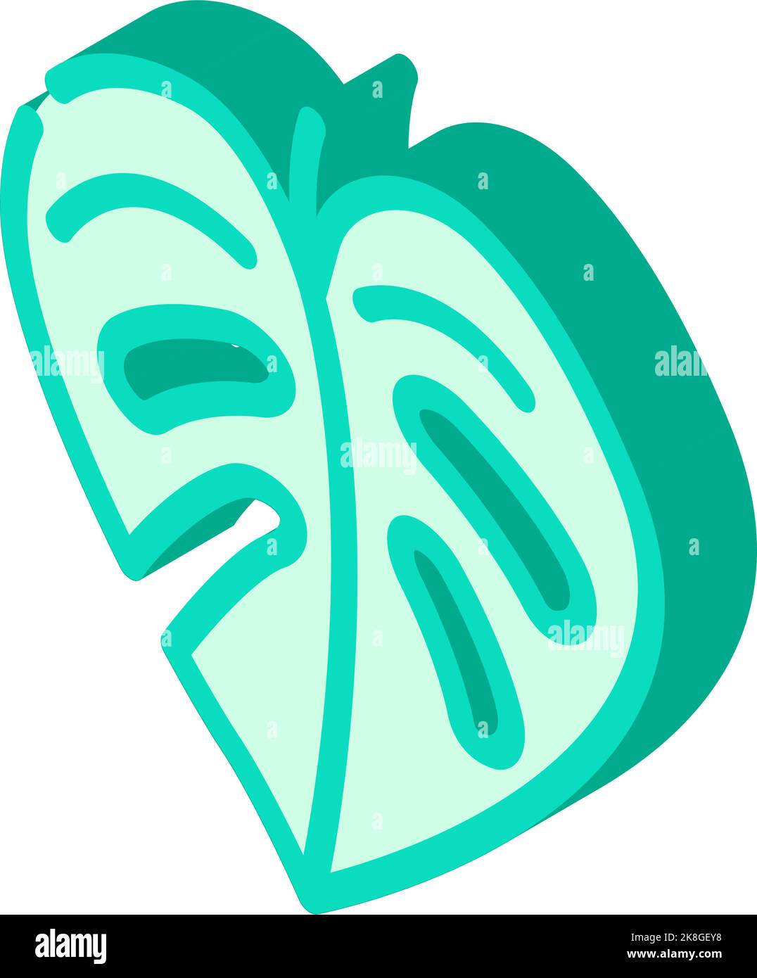 monstera leaf plant isometric icon vector illustration Stock Vector ...