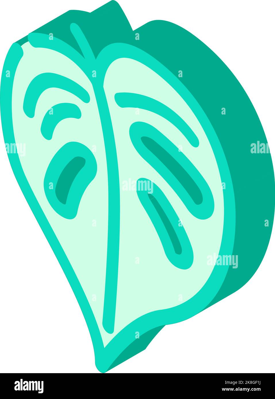 monstera tropical leaf isometric icon vector illustration Stock Vector ...