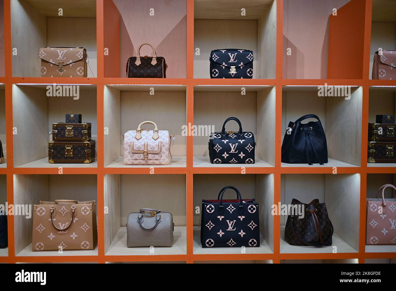 Louis Vuitton Canvas Tote Bag - Authentic 200 Trunks Exhibition Collectible