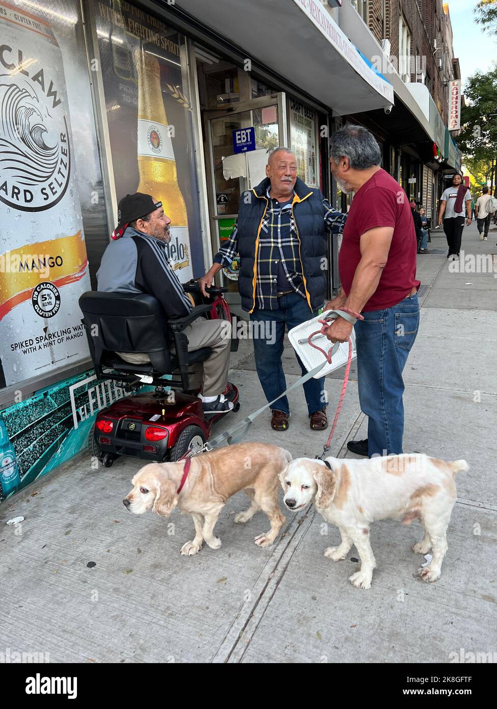 Older men chat for a moment along Church Avenue in the Flatbush  neighborhood of Brooklyn, New York Stock Photo - Alamy