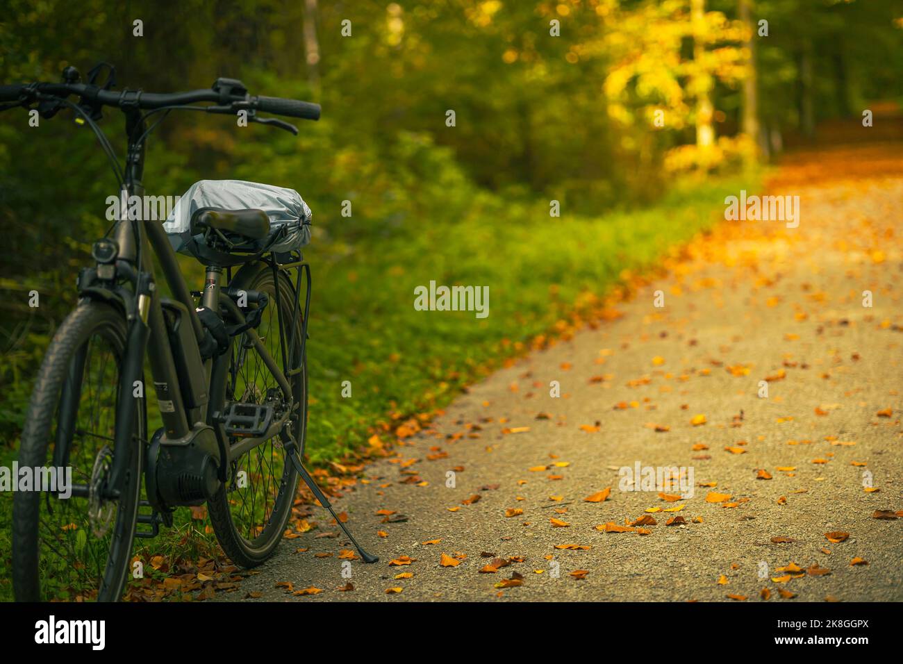 Bicycle ride in autumn forest in sunny warm day Stock Photo