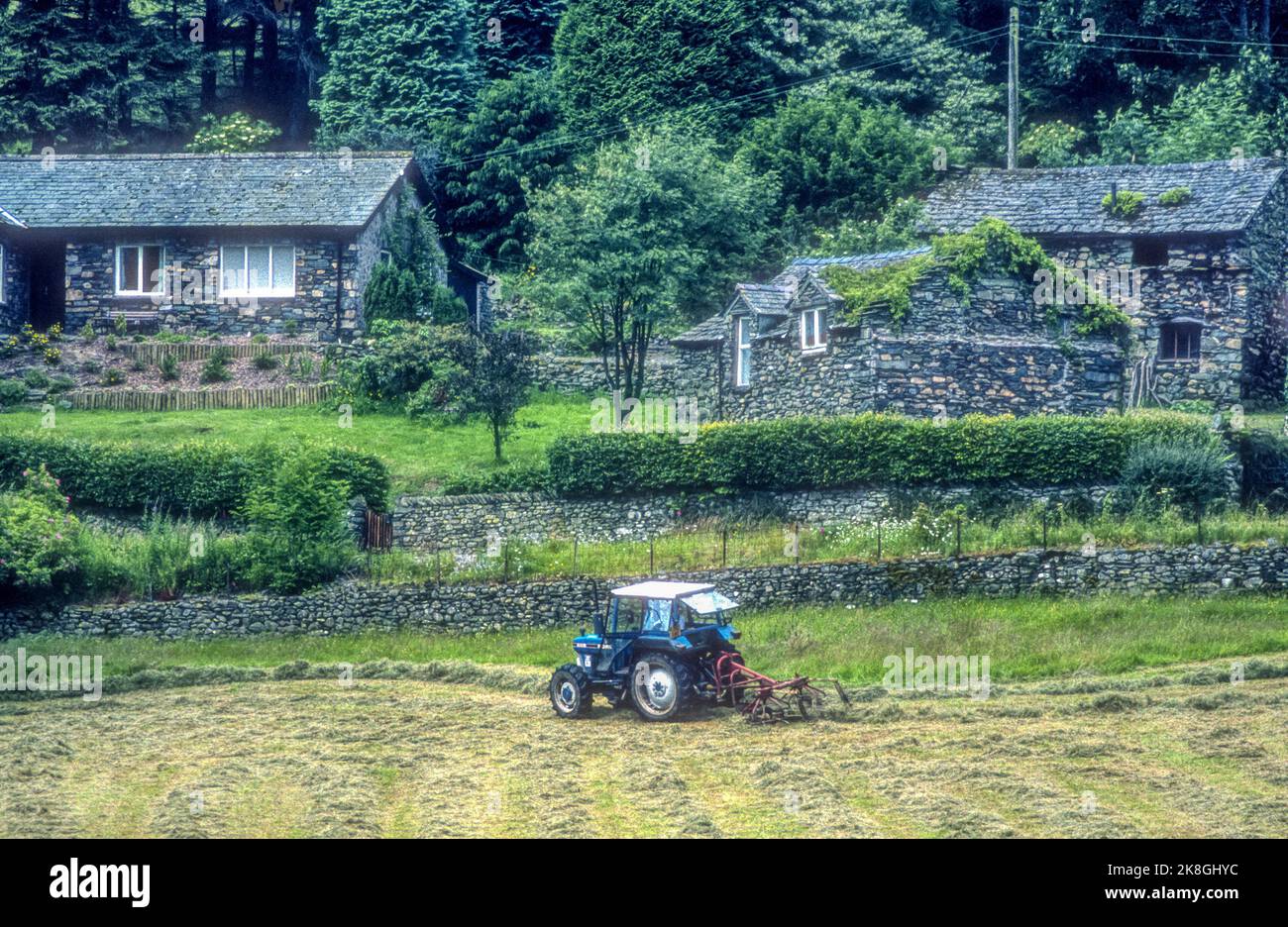 1990s archive image of a Ford 4110 tractor turning or tedding hay at Bridgend in Patterdale in the English Lake District. Stock Photo
