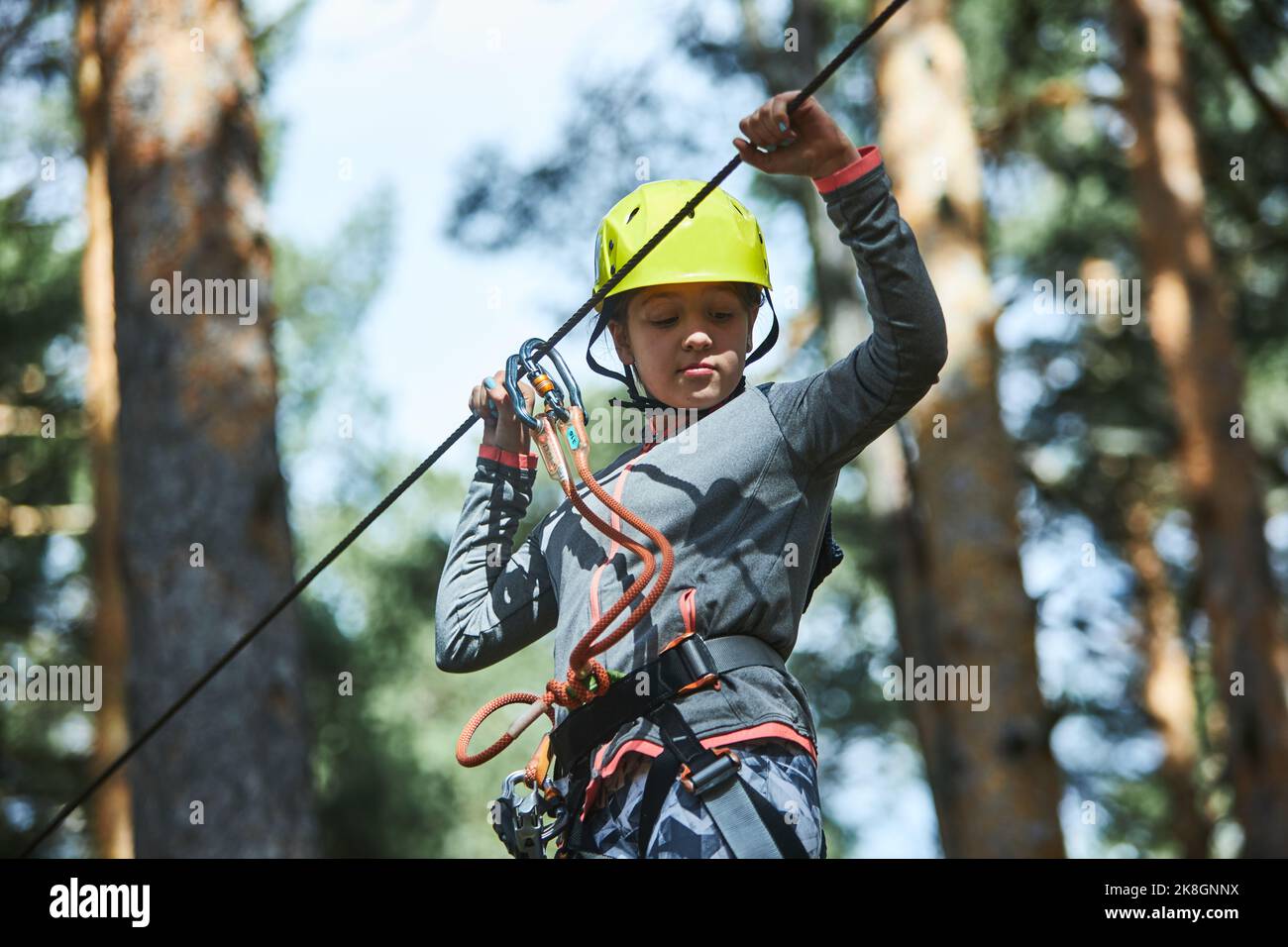 From below girl in activewear and helmet with safety ropes grasping line and balancing on obstacle course on blurred background of coniferous trees in Stock Photo