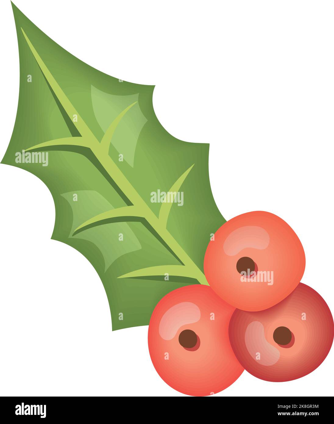 mistletoe leaf and seeds icon Stock Vector Image & Art - Alamy