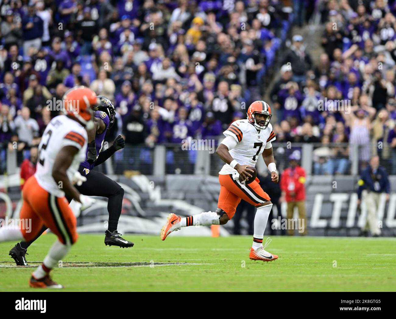 Baltimore Ravens - An incredible moment: Ray Lewis' last entrance into M&T  Bank Stadium. Happy #WorldPhotoDay!