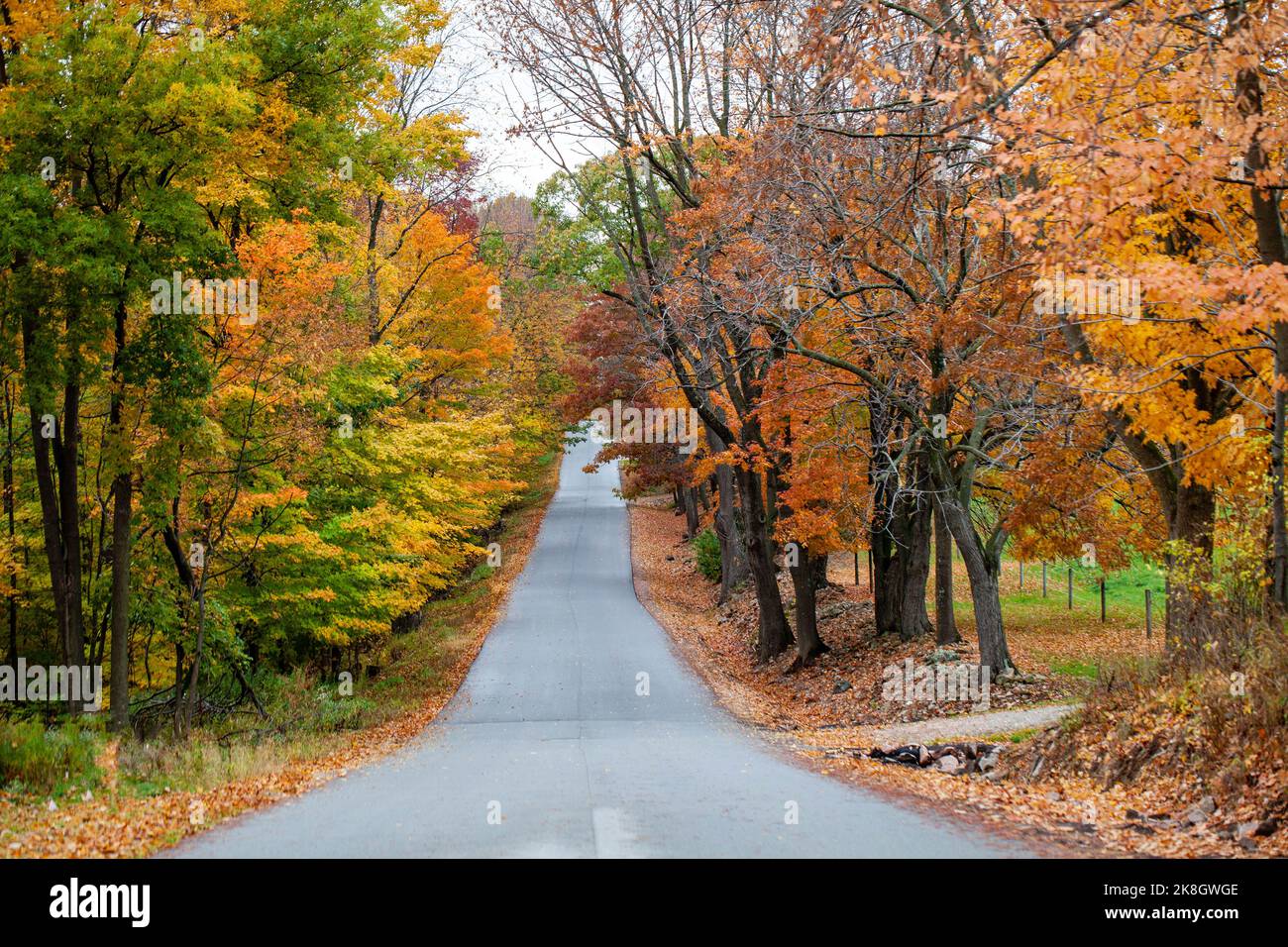 Wausau Ave in October with colorful autumn trees in Wausau, Wisconsin, horizontal Stock Photo
