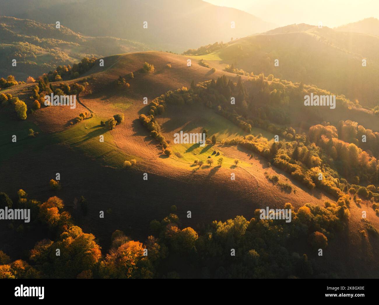 Aerial view of orange trees on the hills and mountains in fog Stock Photo