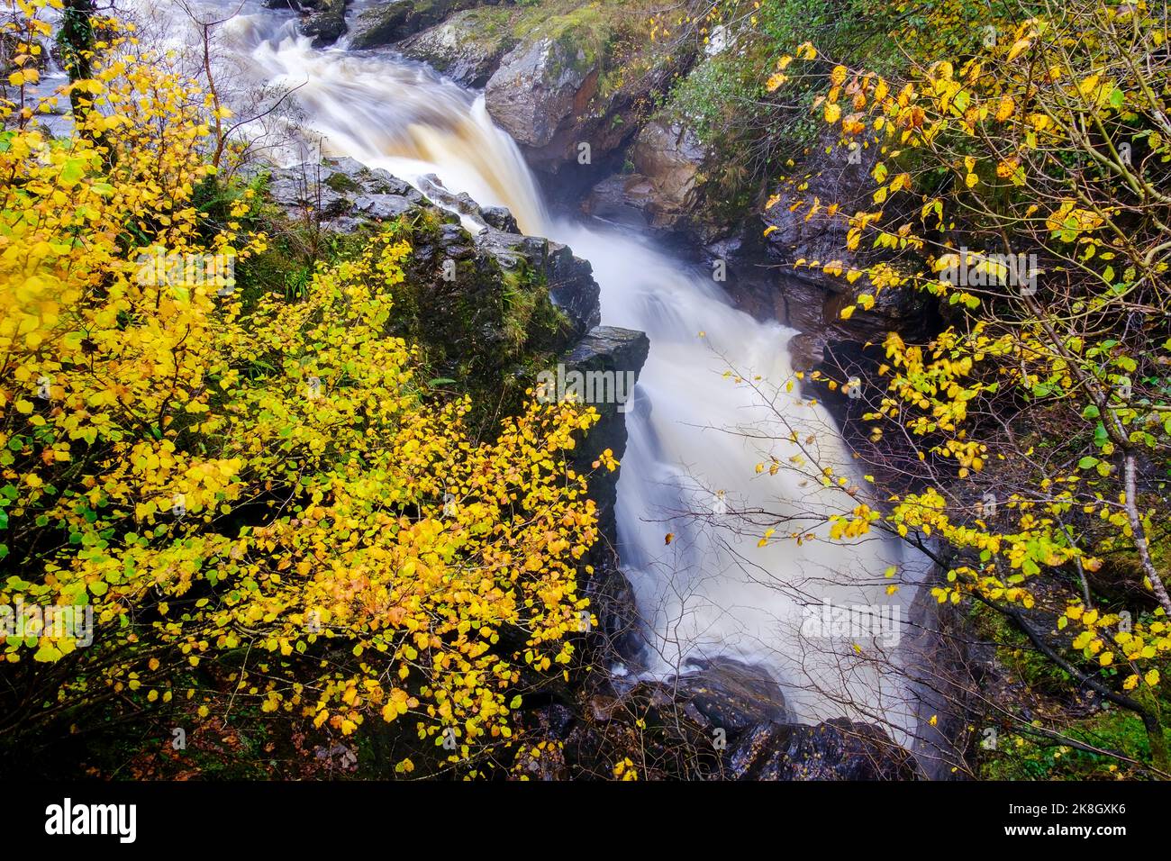 Train Tracks disappearing in the thick Scottish forest Stock Photo