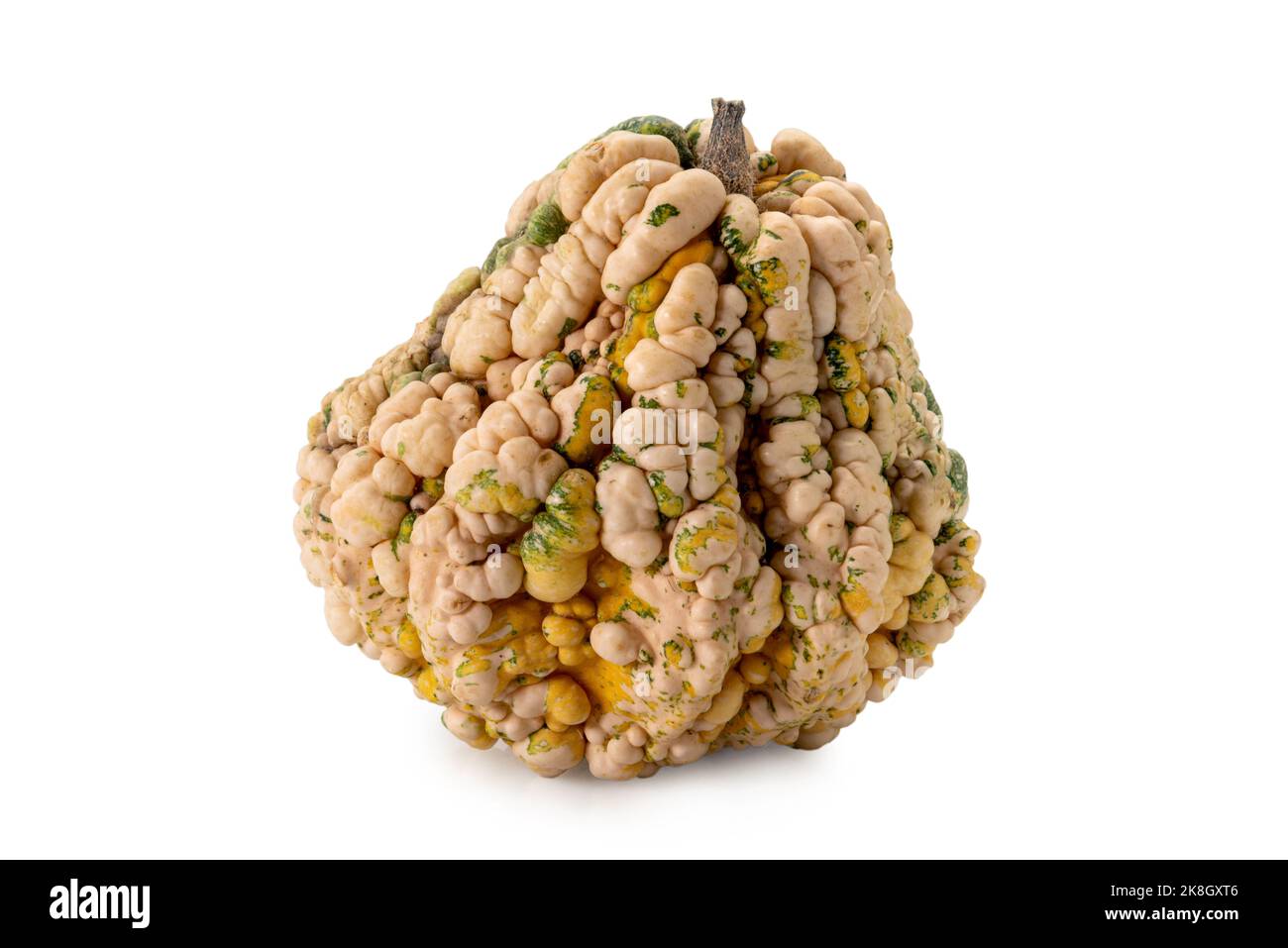 Ornamental gourd, oddly shaped pumpkin isolated on white, clipping path Stock Photo