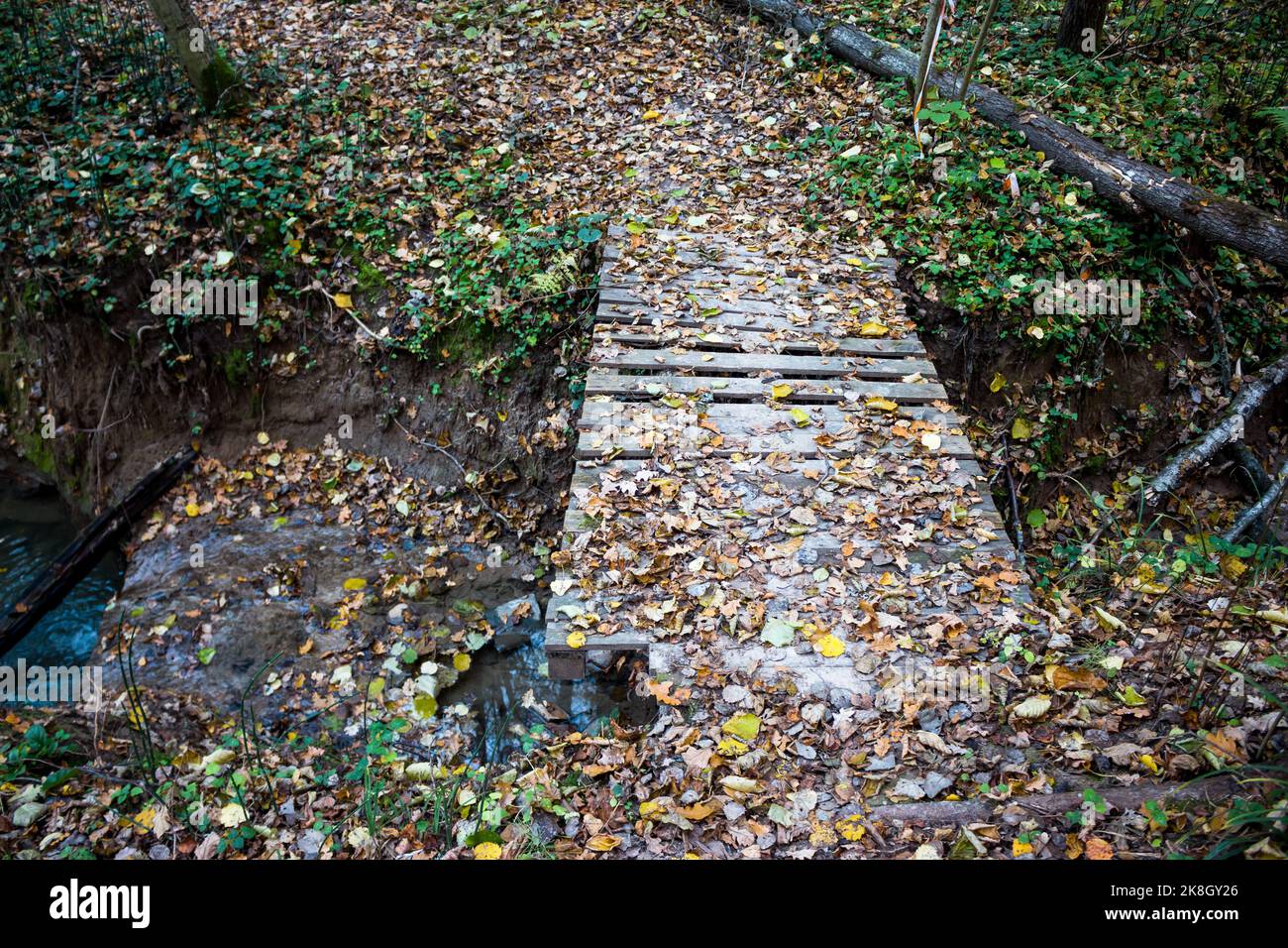 Wooden bridge made of boards thrown over a forest river Stock Photo - Alamy