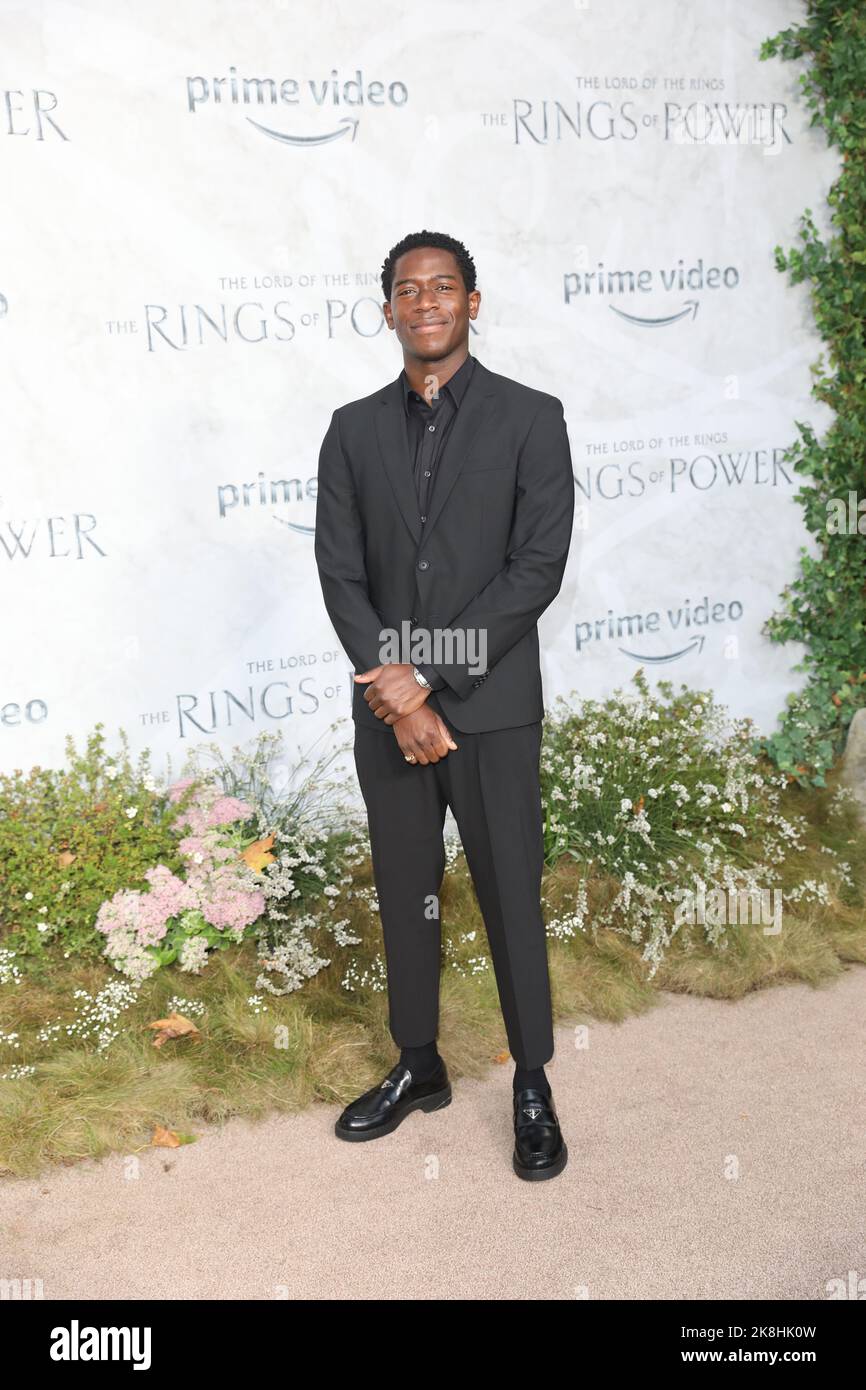 Damson Idris attends the World premiere of 