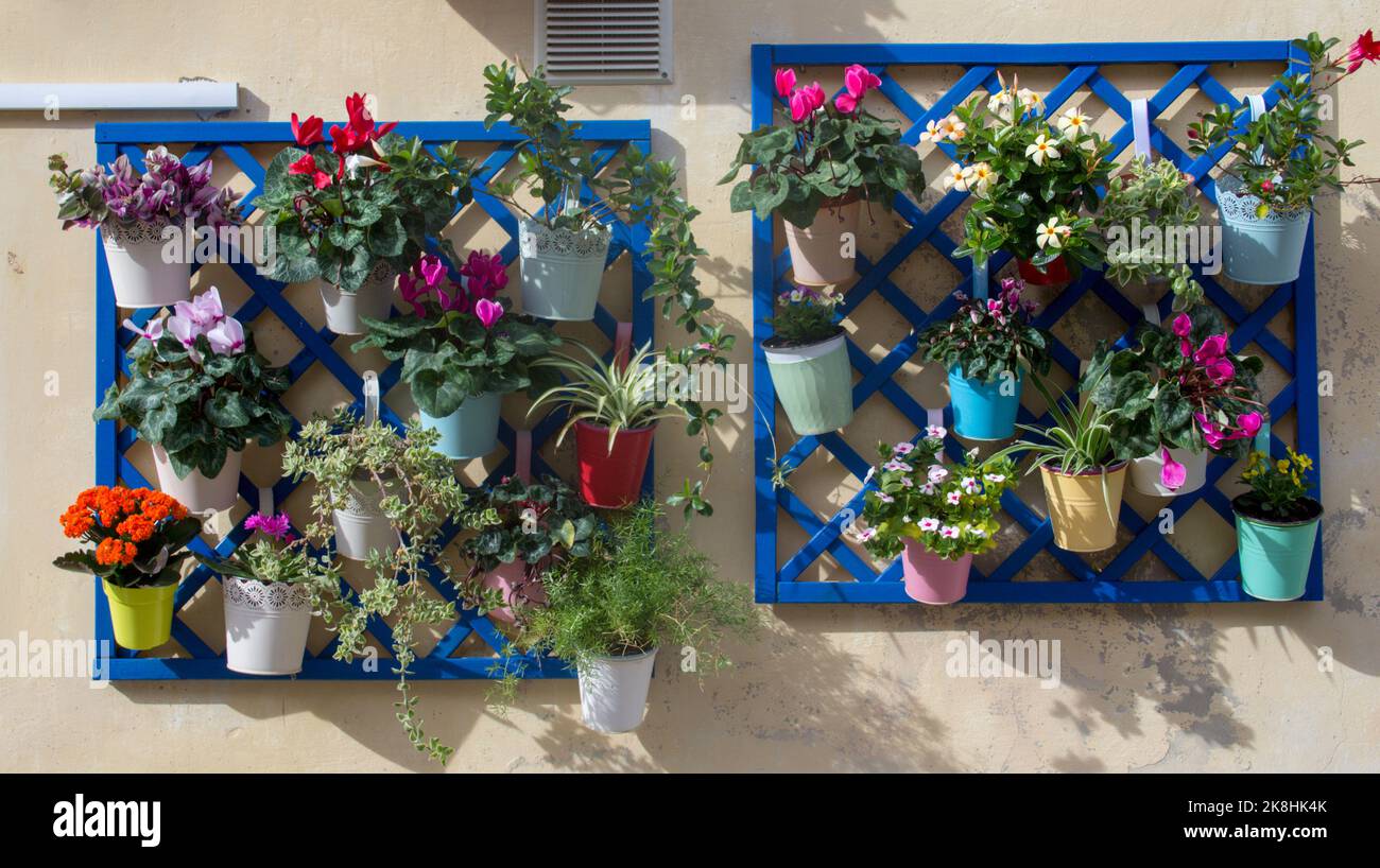 Image of colorful flower pots hanging on a house wall. Summer vacation in Italy Stock Photo