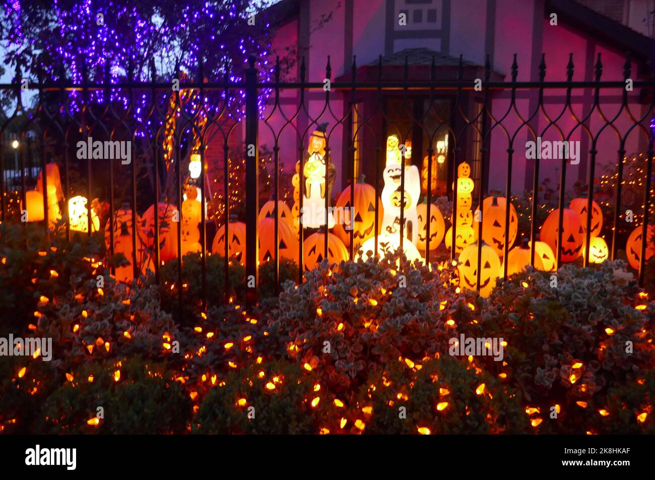 Toluca Lake, California, USA 22nd October 2022 Halloween Pumpkins