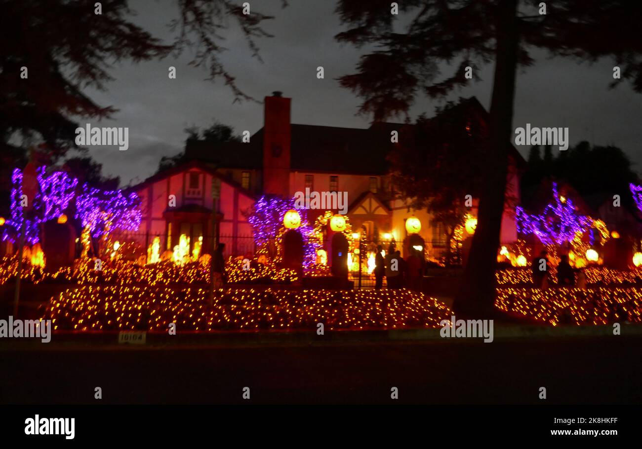 Toluca Lake, California, USA 22nd October 2022 Halloween Pumpkins