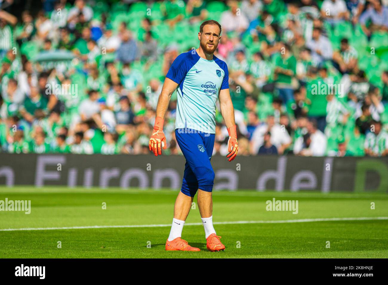 Seville, Spain. 23rd Oct, 2022. Jan Oblak of Atletico de Madrid seen during the La Liga Santander 2022/2023 match between Real Betis and Atletico de Madrid at Benito Villamarin Stadium.(Final Score; Real Betis 1:2 Atletico de Madrid) (Photo by Francis Gonzalez/SOPA Images/Sipa USA) Credit: Sipa USA/Alamy Live News Stock Photo