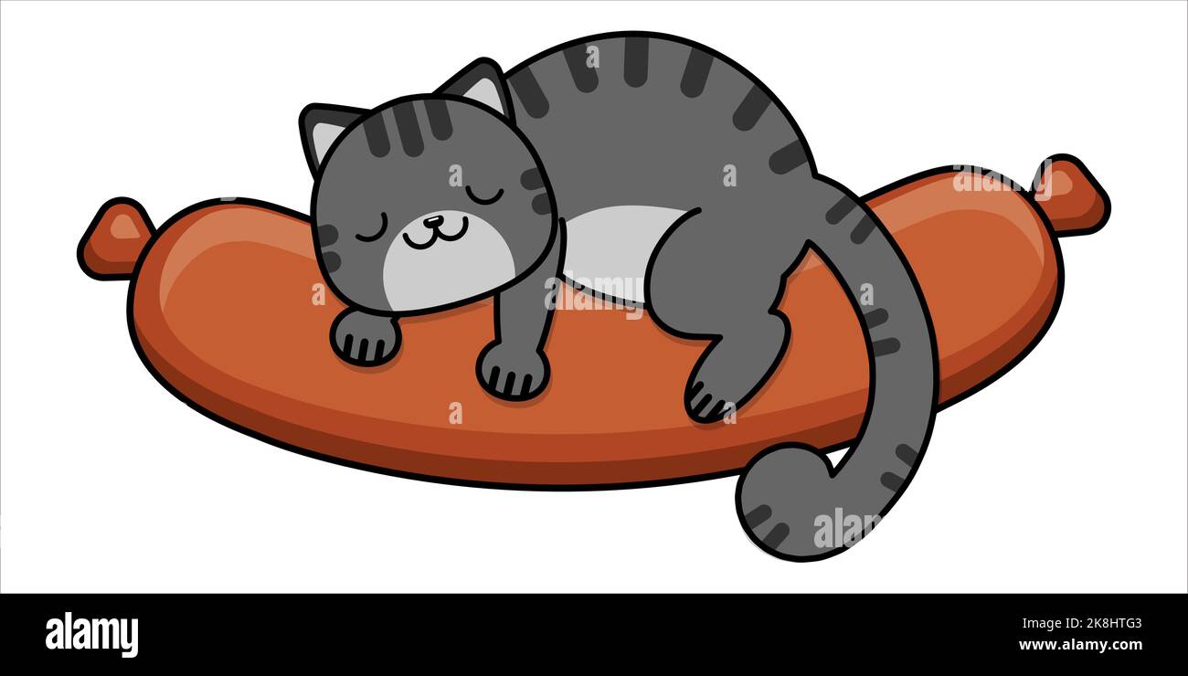 The cat is sleeping on the sausage. The cat is hugging a sausage. Baby