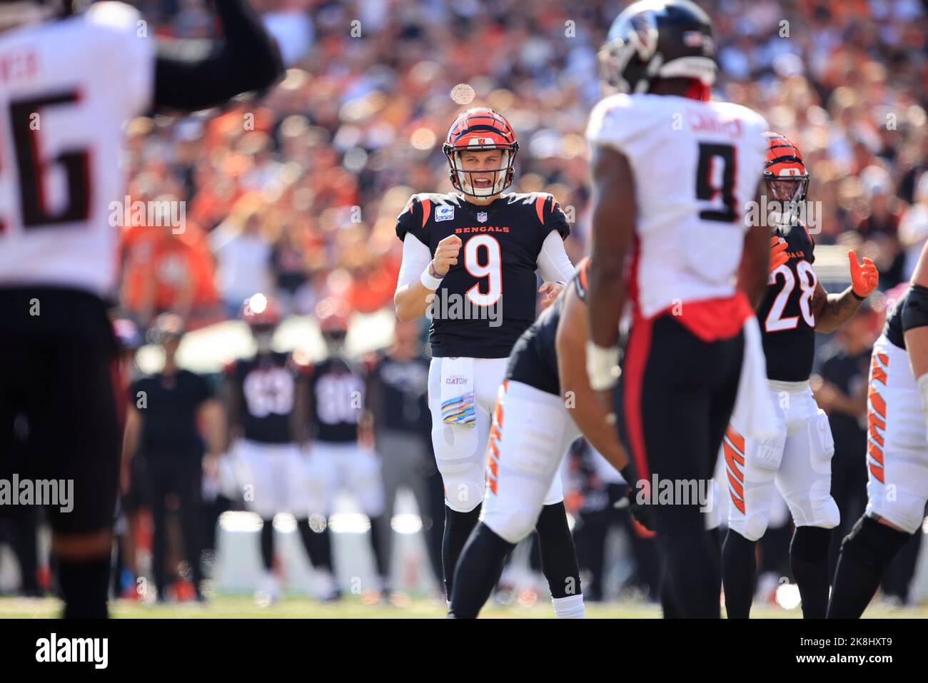 Cincinnati, Ohio, USA. 23rd Oct, 2022. Joe Burrow (9) of the Cincinnati Bengals during WEEK 7 of the NFL regular season between the Atlanta Falcon and Cincinnati Bengals in Cincinnati, Ohio. JP Waldron/Cal Sport Media/Alamy Live News Stock Photo