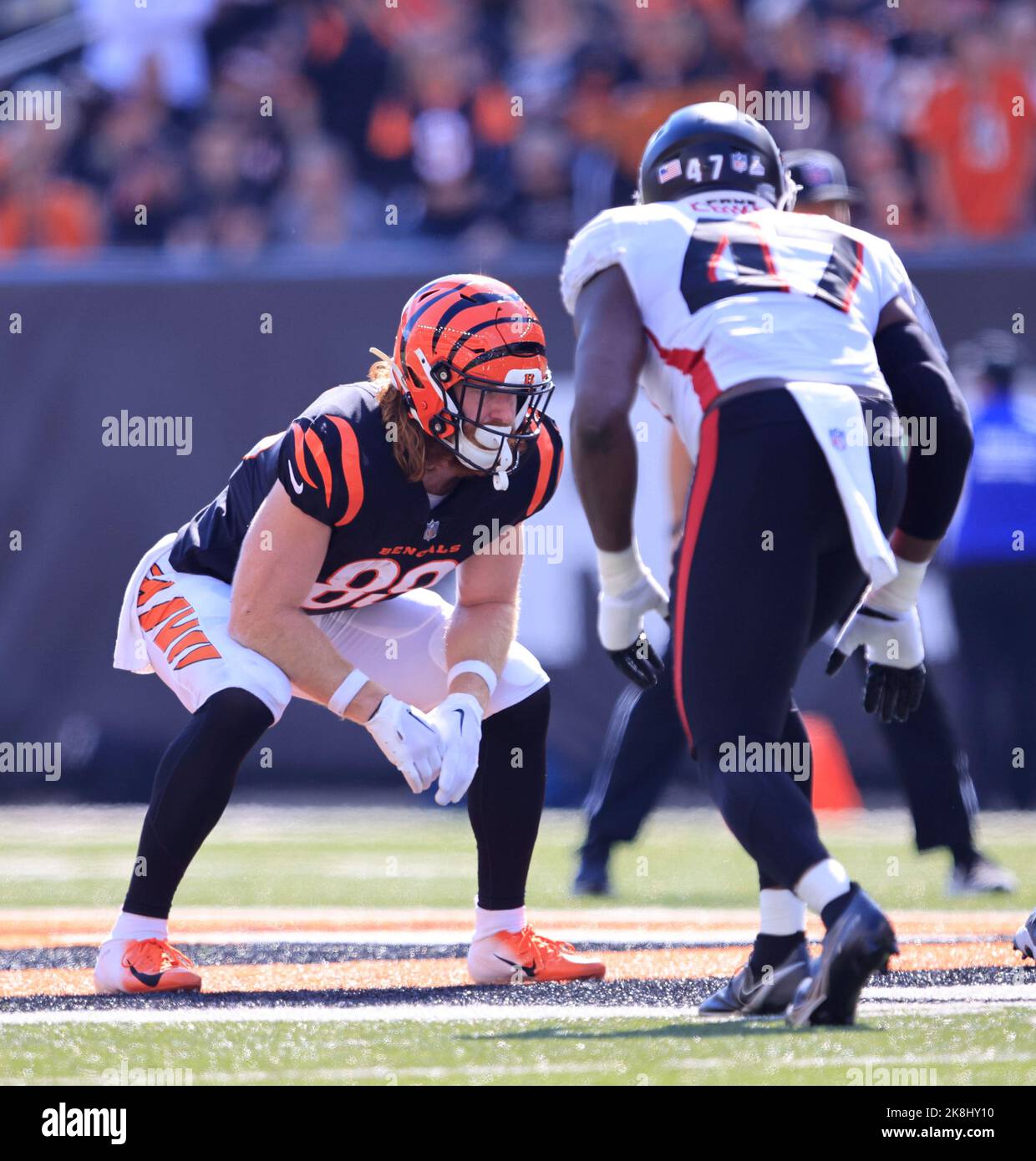 Cincinnati Bengals tight end Hayden Hurst (88) leaves the field after his  NFL football game against the Miami Dolphins, Friday, Sept. 30, 2022, in  Cincinnati. (AP Photo/Jeff Dean Stock Photo - Alamy