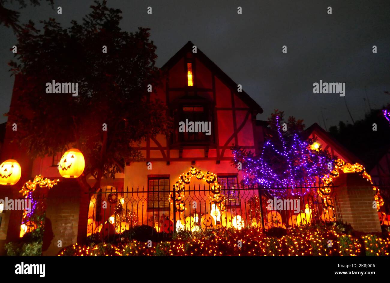 Toluca Lake, California, USA 22nd October 2022 Halloween Pumpkins