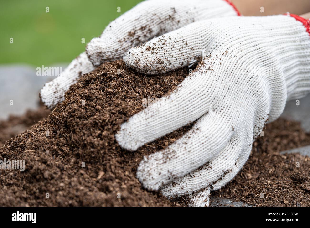 Hand holding peat moss organic matter improve soil for agriculture organic  plant growing, ecology concept Stock Photo - Alamy