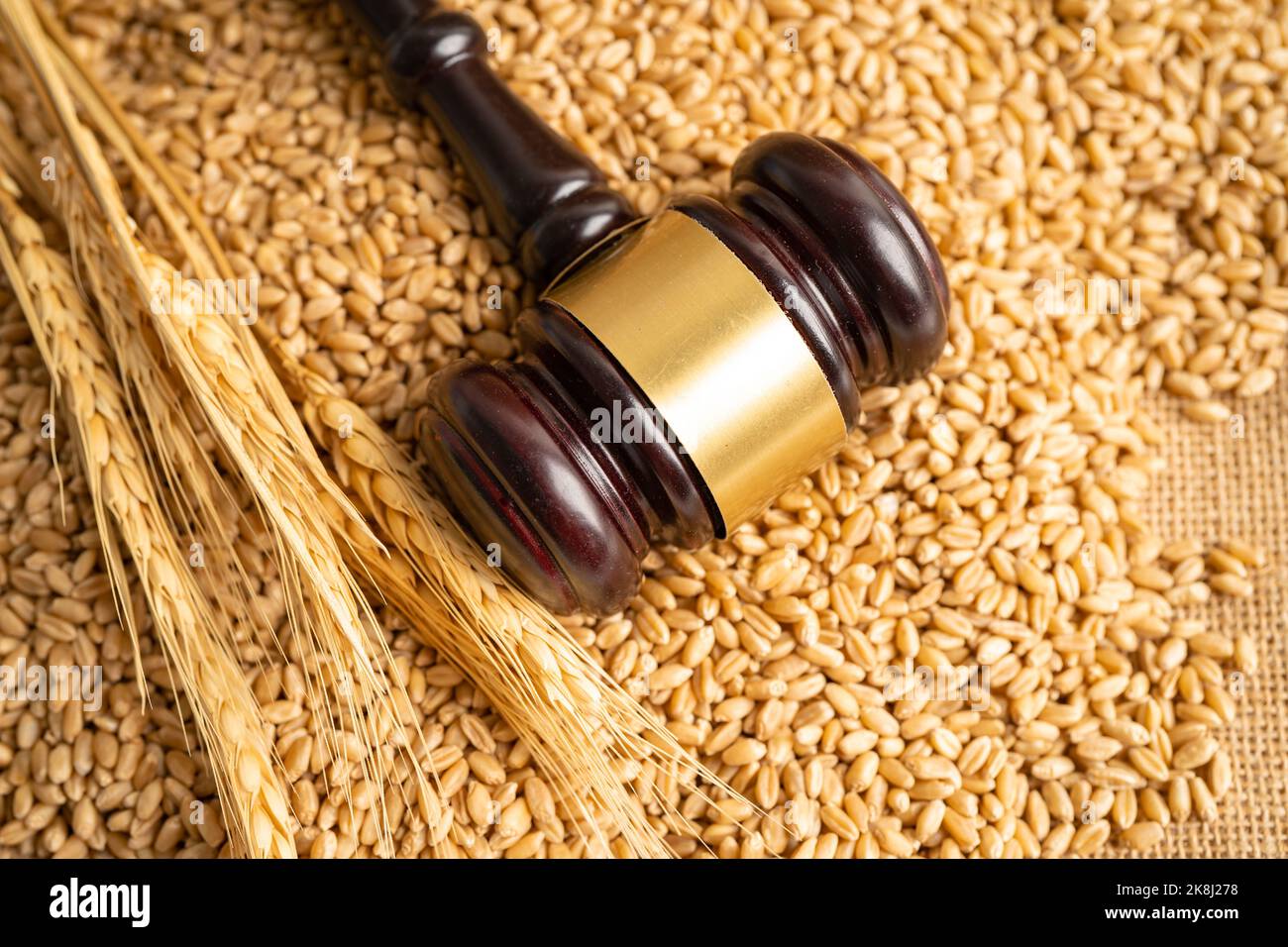 Judge hammer on grains and wheat ears from organic agriculture farm. Stock Photo