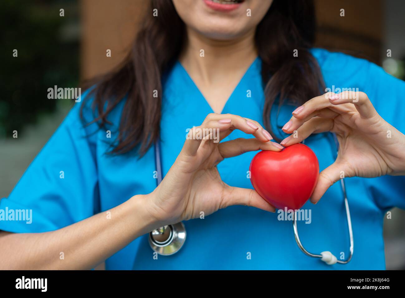Female Cardiovascular disease doctor or cardiologist with stethoscope holding red heart, Medical health care and doctor staff service concept. Stock Photo