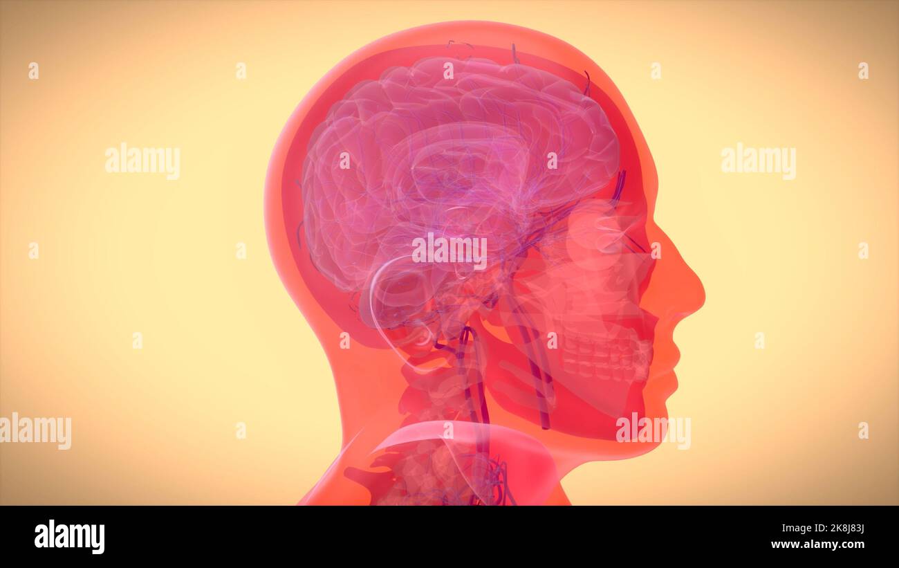 3D abstract art of a brain motion design Stock Photo - Alamy