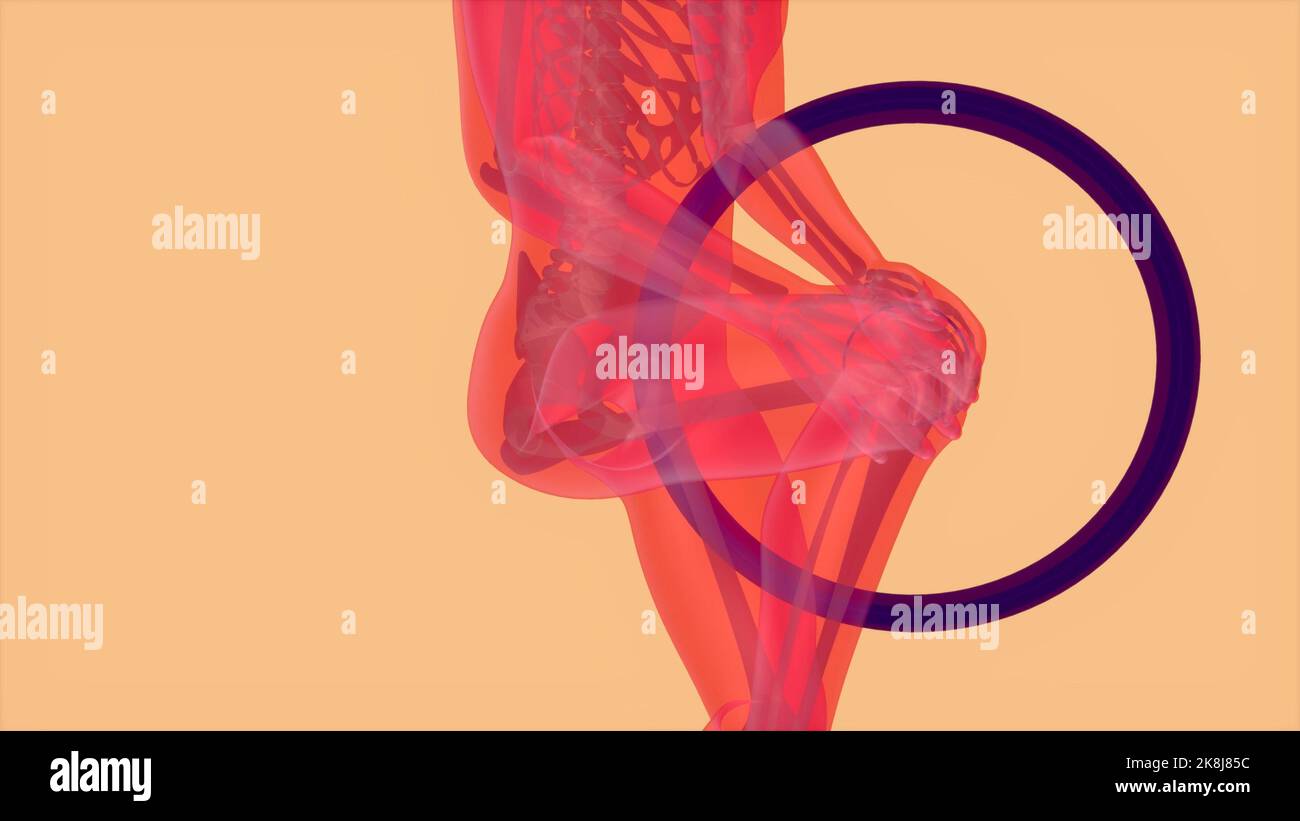 3D abstract anatomy concept of a knee pain Stock Photo - Alamy