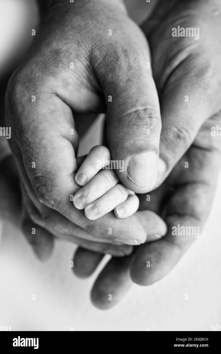 Black And White Newborn Baby Hands
