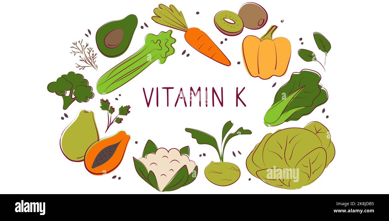 Vitamin K Phylloquinone. Groups of healthy products containing vitamins