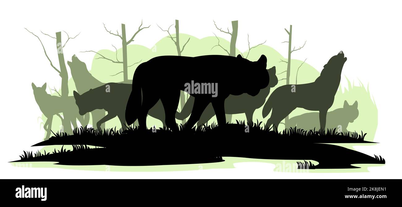 Pack of wolves in forest. Silhouette picture. Wild animal in nature