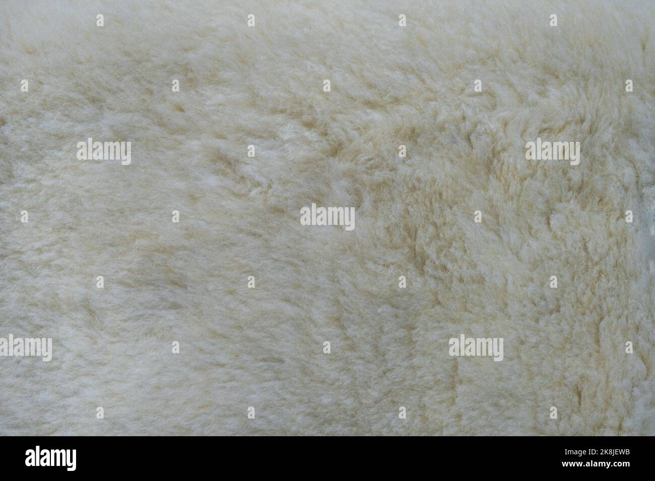 Background close-up of skins with ram fur. Stock Photo