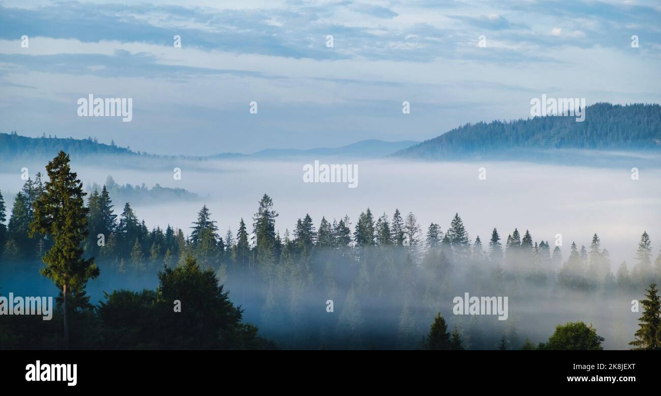 Panorama of forest covered by low clouds. Autumn rain and fog on the mountain hills. Misty fall woodland. Stock Photo