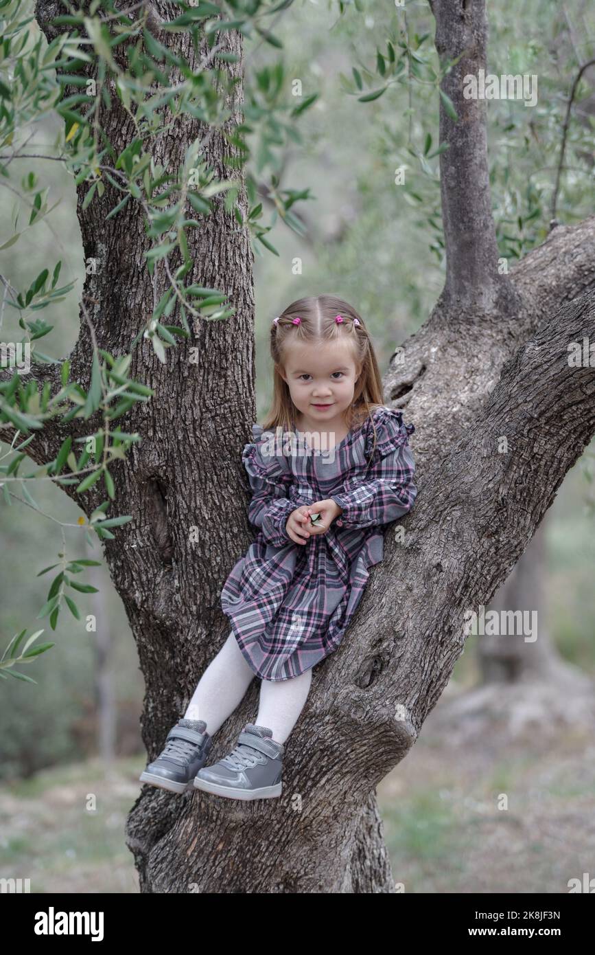 A child girl sitting on a olive tree Stock Photo - Alamy