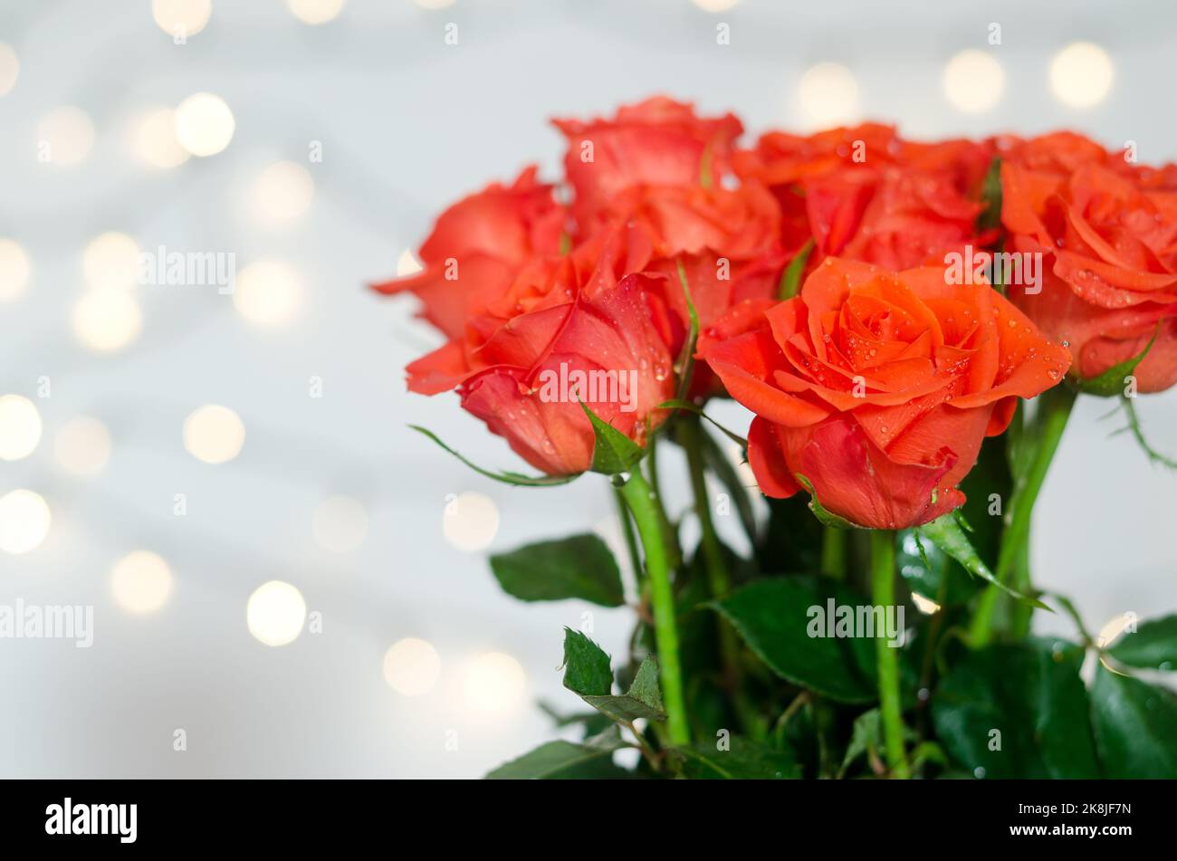 Top view of beautiful red roses bouquet against white background with bokeh. Greeting card. 8 March. Mother's Day. Happy Woman Day. Stock Photo