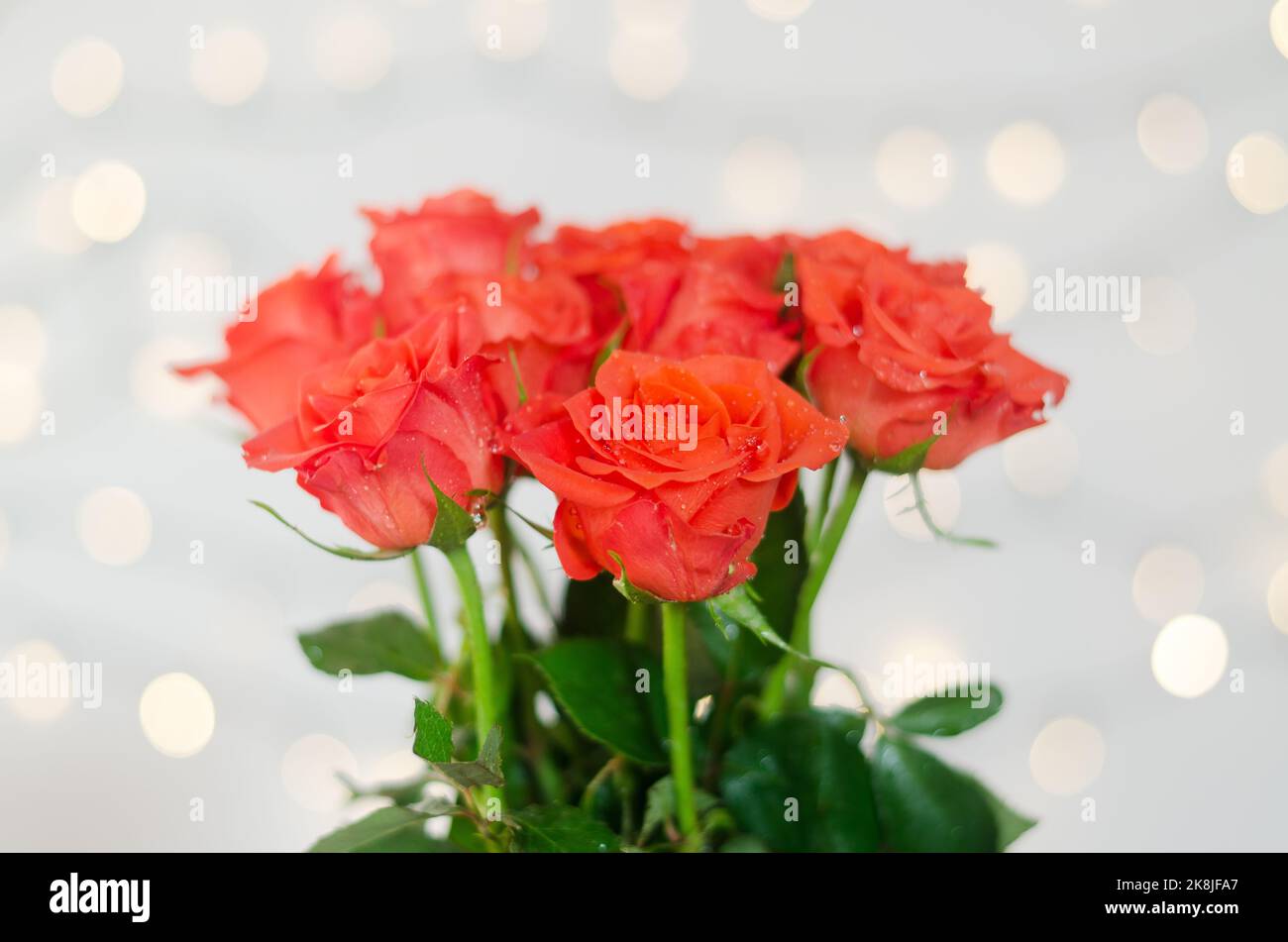 Premium Photo  Close up of a beautiful bouquet of pink roses with a happy  birthday card on a white background