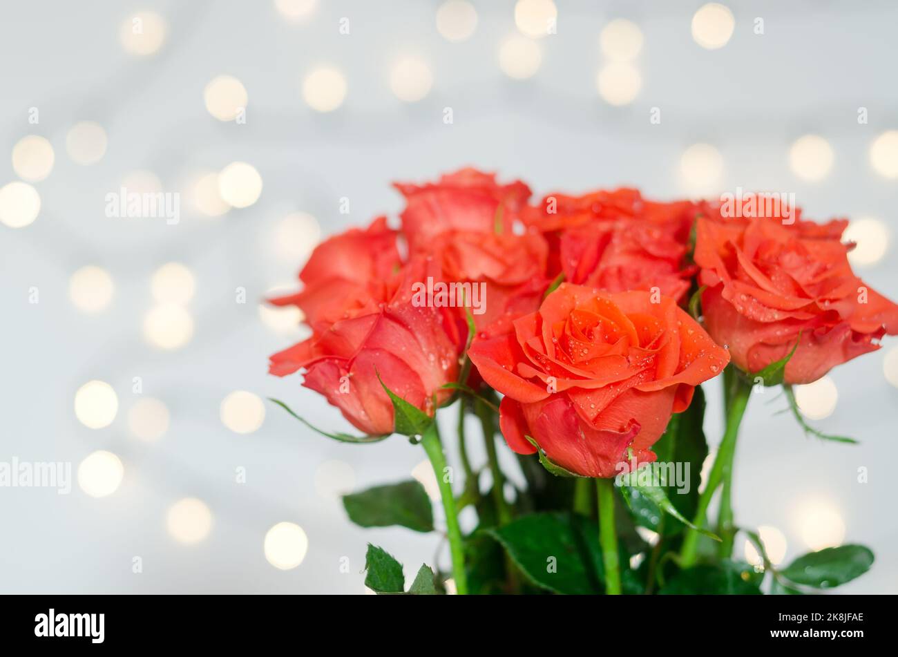 Top view of beautiful red roses bouquet against white background with bokeh. Greeting card. 8 March. Mother's Day. Happy Woman Day. Stock Photo