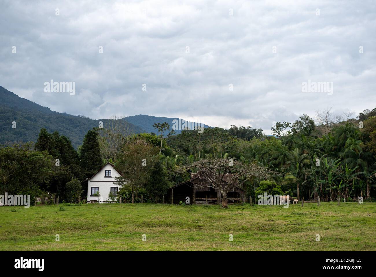 Pomerode, Brazil. 27th Sep, 2022. View of a house and the surrounding landscape in the 'most German city' of the South American country. Credit: Henry Milleo/dpa/Alamy Live News Stock Photo
