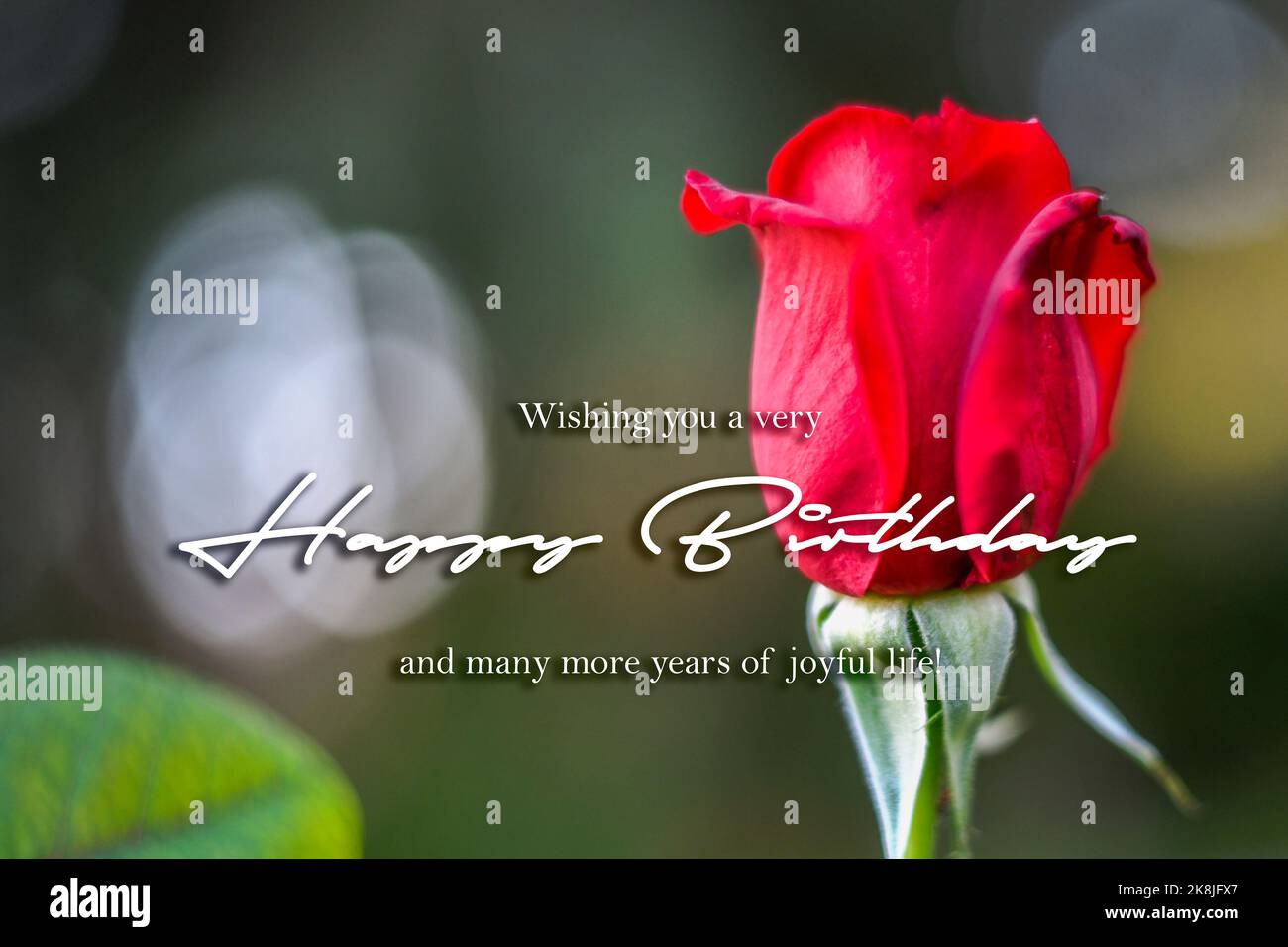 Happy Birthday Wishes Stock Photo - Alamy