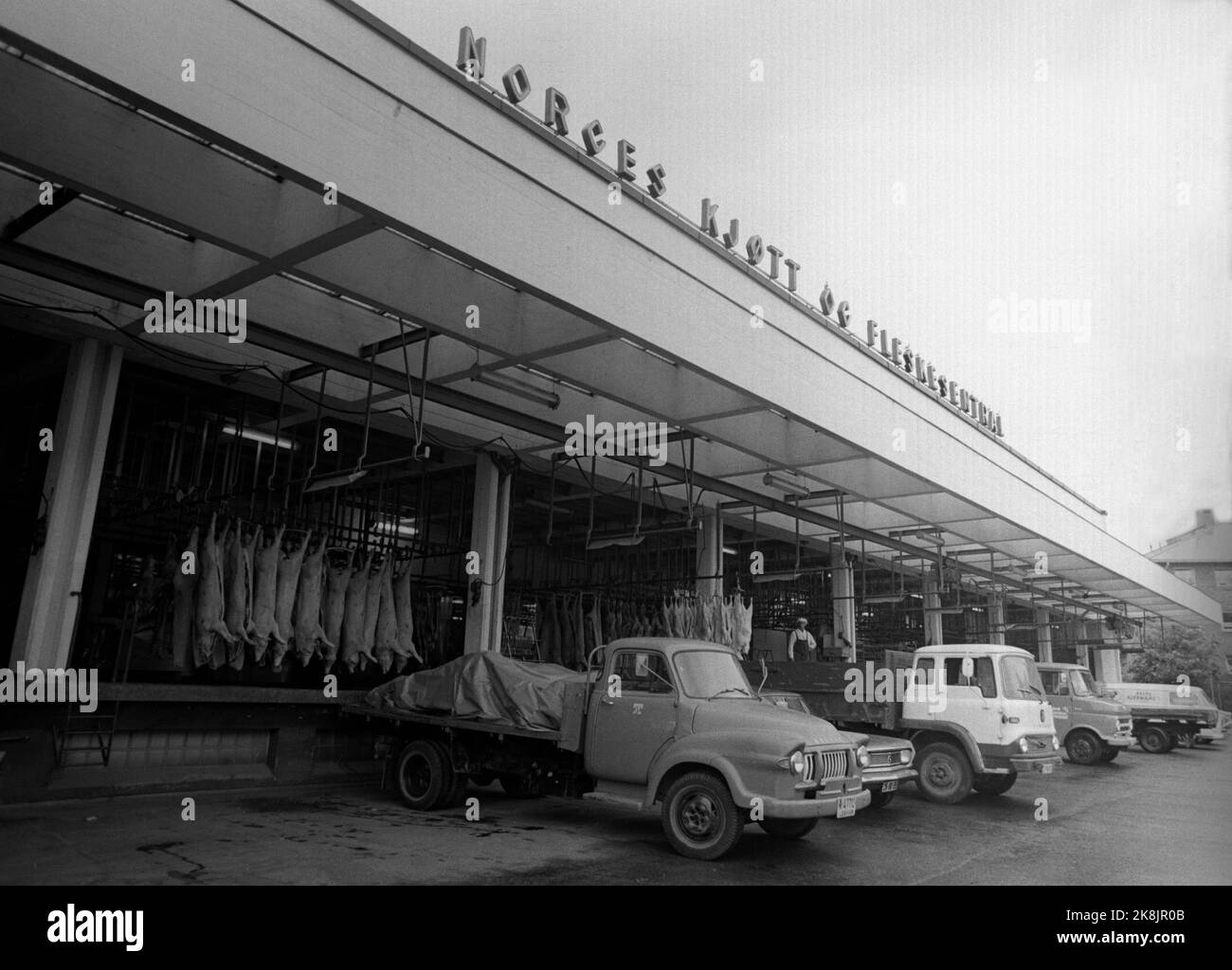 Per ervik current ntb meat industry slaughterhouse trucks hires stock