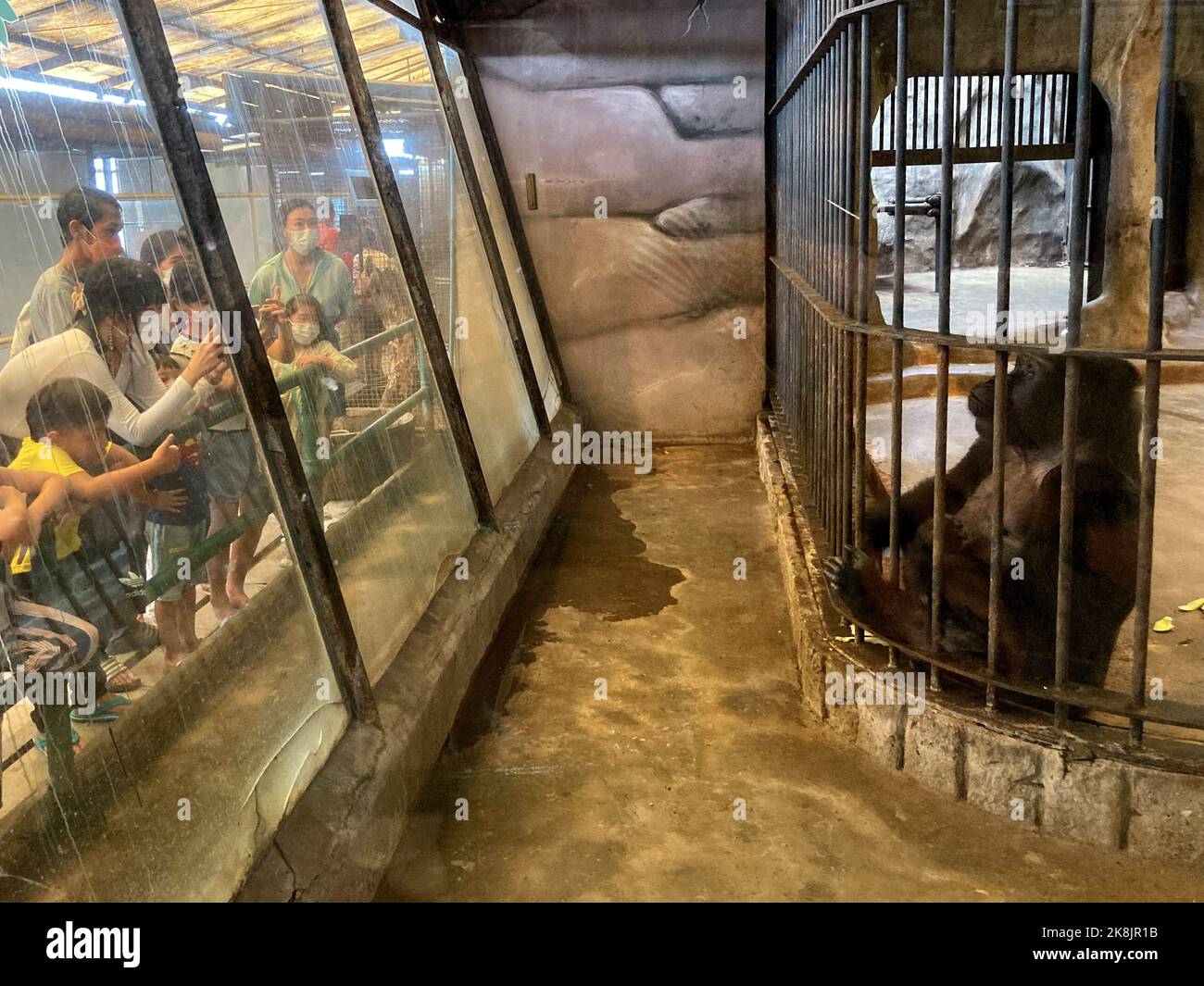 Bridging the Global Gap in Animal Welfare