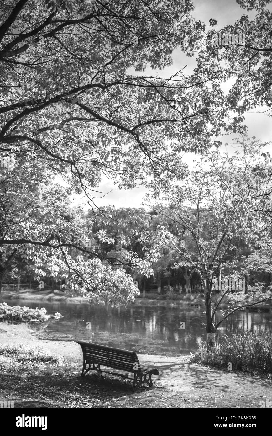 The vertical grayscale view of a bench by the pond in a park Stock Photo